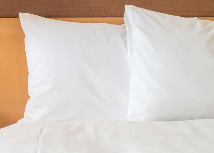 Express - Airport 酒店 杜塞尔多夫